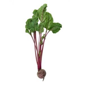 Betabel Cambray con Rabo