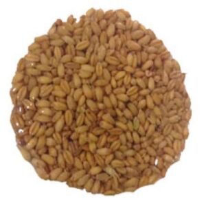 Germen de Trigo por kg