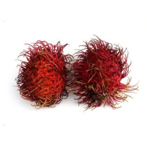 Rambután kg