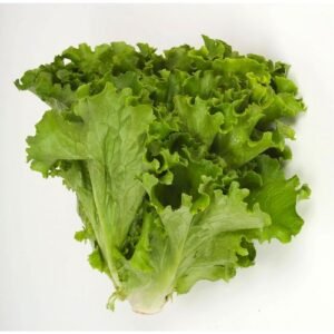 Lechuga Escarola Pieza