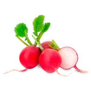 Rábano Cambray Pieza