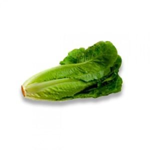 Lechuga Larga Pieza