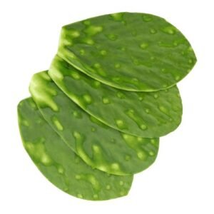 Nopal Cambray por kg