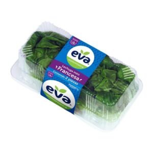 Lechuga Francesa Corazón de Eva 2 Piezas