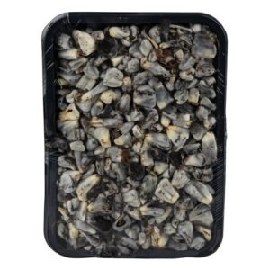 Huitlacoche Natural por kg