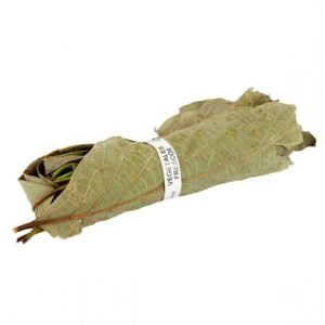 Hoja de Aguacate por Pieza