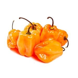 Chile Habanero Naranja por kg