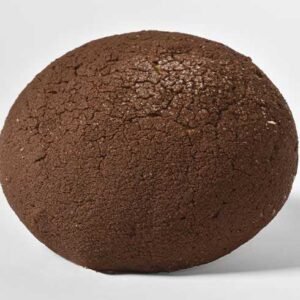 Concha Premium chocolate