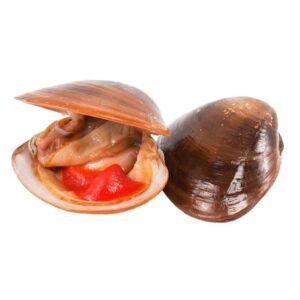 Almeja Chocolata 1kg