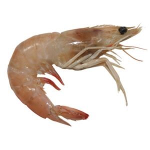 Camarón con Cabeza (Chico) 500g