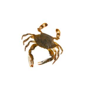 Jaiba Blanda o Suave 500g