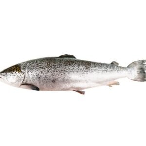 Salmón 5kg