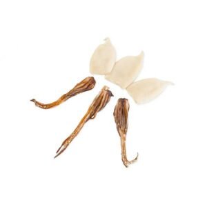 Tubo y Tentáculo de Calamar 1kg