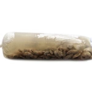 Ostión en bolsa 1 pieza