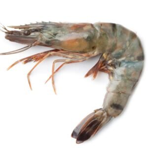 Camarón con Cabeza (Jumbo) 500g