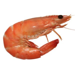 Camarón Macuil 500g