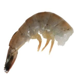 Camarón sin Cabeza (Chico 41-50) 500g