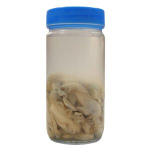 Frasco de Ostión 1 frasco