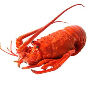 Langosta Roja Cocida 500g
