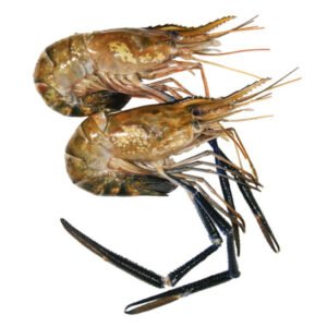 Langostino 1kg