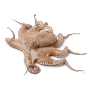 Pulpo Crudo entero (Grande) 2kg