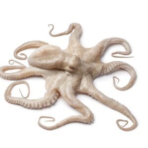 Pulpo Crudo entero (Mediano) 1kg