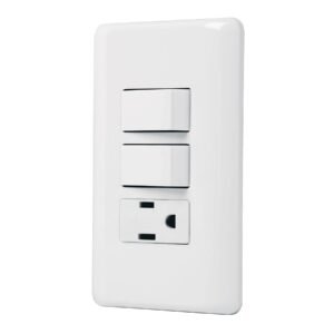 PLACA ARMADA CON CONTACTO Y 2 INTERRUPTORES SENCILLOS, BASIC