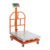 BÁSCULA ELECTRÓNICA DE PLATAFORMA, 600 KG, INOXIDA (Truper)