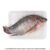 Mojarra tilapia por charola peso por kg