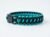 Simbiosis Tropical – Pulsera Paracord