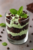 Brownie Noir Menta