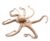 Pulpo Crudo entero (Chico) 700g